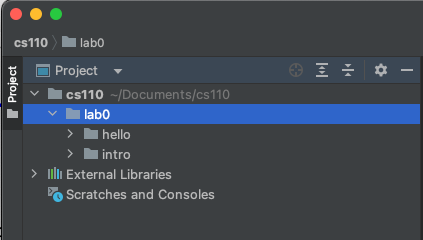 cs100 project files in PyCharm