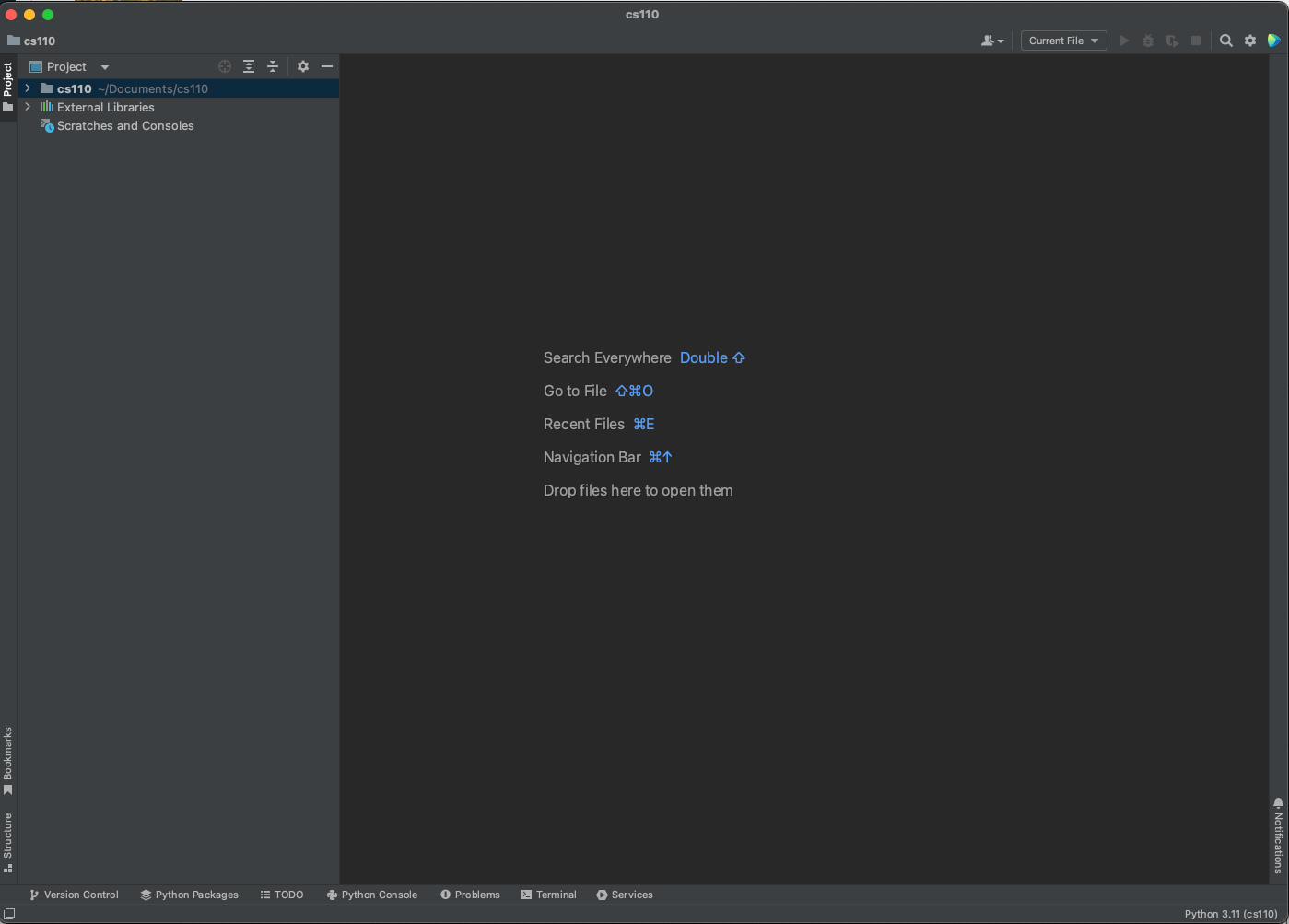 Pycharm new project window